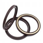 High Temperature Resistant Skeleton Oil Seal 80*100*7 TCV FKM