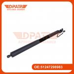 Electric Tailgate Lift Strut With Hall Sensor 51247298983 For BMW F34 for sale
