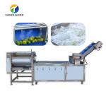 Citrus Stalk Eliminated Lemon Processing Machinery Industrial Air Bubble Brush for sale