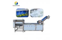 China Citrus Stalk Eliminated Lemon Processing Machinery Industrial Air Bubble Brush supplier