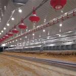 90 Degree Chain Automatic Pan Feeding System for sale