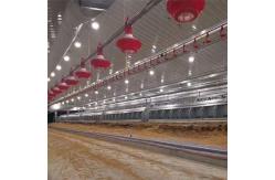 China 90 Degree Chain Automatic Pan Feeding System supplier