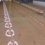 Computerized Chicken Pan Feeder PVC Pipe Chicken Feeders And Water Systems for sale