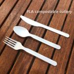 Biodegradable CPLA Knife Spoon And Fork For Lunch for sale