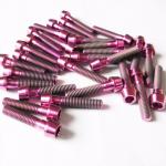 Din912 TAP Titanium bolt titanium Hex socket tapered head screw cutsomized for sale