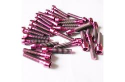 China Din912 TAP Titanium bolt titanium Hex socket tapered head screw cutsomized supplier