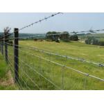 Hot sell high quality 14x14 16x14 galvanized barbed wire