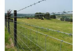 China Hot sell high quality 14x14 16x14 galvanized barbed wire supplier