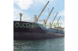 China 20t 30m Cargo Three Phase Marine Deck Cranes supplier