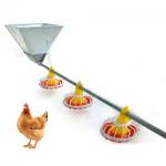 Original factory wholesale, flat chicken goose automatic feeding system, chicken duck feed line for sale
