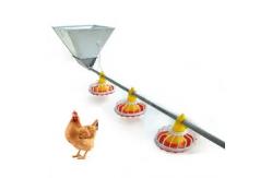 China Poultry Feed Pans Raised Chicken Waterer Equipment Needed To Raise Chickens supplier
