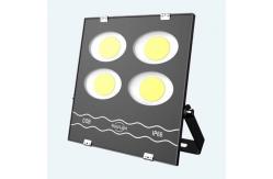 China Garden Use COB Floodlight From 50w to 600w with Special Design Spot Light supplier