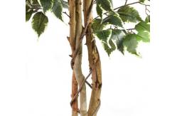 China 175cm Natural Trunk Artificial Variegated Ficus Tree supplier