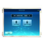 10.4 Inch IPS LCD TFT 1024x768 with LVDS Interface 30 Pin Color Display for sale