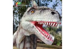 China Amusement Park Large Fibreglass Animals Life Size Allosaurus Animatronic Eco friendly supplier