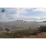 Tunnel Greenhouse Agricultural Greenhouses Industrial Hydroponic For Tomato And Cucumber for sale