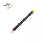 Diesel Fuel Injector EJBR04601D A6650170321 for Euro 3 Engine