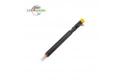 China Diesel Fuel Injector EJBR04601D A6650170321 for Euro 3 Engine supplier