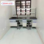 Classic Polishing Chemistry Lab Furniture Customizable and Classic for sale