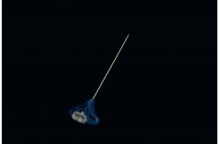 China Vertebroplasty Kyphoplasty Kit Diversified Sizes Class II Instrument supplier