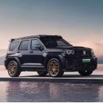 2024 GWM Tank 700 Great Wall Plug-In Hybrid SUV with R20 Tires Electric Off-Road Bus Gasoline Vehicle 700 Hi4-T for sale