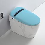 One Piece Siphonic Smart Bathroom Toilet Mix Pit Spacing 300mm for sale