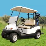 Excar 48V Electric Golf Car Pearlized Trojan Battery Aluminum Chassis for sale