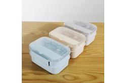 China Divided Bento Plastic Lunch Boxes supplier