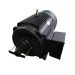 High Efficiency Variable Speed Permanent Magnet Motor IPM SPM for sale