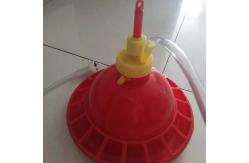 China 38cm Plasson Automatic Broiler Drinker And Feeder For Poultry supplier