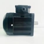 Low Speed High Torque AC Magnet Electric Motors for sale