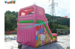 China Cute Cat Commercial Inflatable Slide , Childrens Small Dry Slide Slip Inflatable supplier