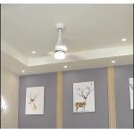 Modern Style 75w ABS Blade Ceiling Fan for sale