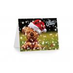 3D 12x17cm Greeting Card Lenticular Printing Services  With Customized X-mas Images
