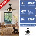 36 Inch Retractable Ceiling Fan Light with Remote Control and Space-Saving Design