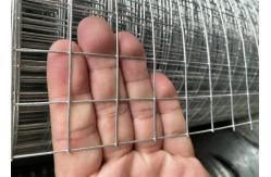 China 1inch Hot Galvanized Welded Iron Wire Mesh For Fencing Galvanized Mesh Roll supplier
