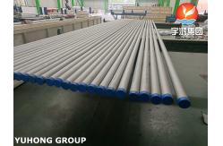 China ASTM B407 N08810 Seamless and Welded Alloy Tubes supplier
