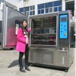 Programmable Temperature Humidity Chamber with 350*450 mm Viewing Window