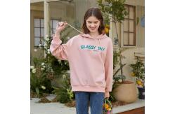 China Letter Pattern Casual Pullover Sweater Hoodies With 3D Print Eager Logo supplier