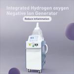 220V Hydrogen Oxygen Negative Ion Generator Reduce Fatigue WEIZI for sale