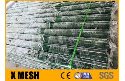 China Width 2000mm Anti Climb Mesh Fence BS EN 13438 Galvanized Wire Mesh Sheets supplier