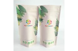 China 120mic Cornstarch PLA Kraft Paper Pouch Resealable Zipper supplier
