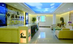 China Areca Palm manufacturer