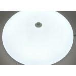 24w Emergency Led Surface Mount Ceiling Lights For Hotel / Office Building
