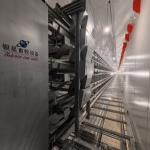 Hot-Dip Galvanized High-Efficiency 4-8 Tier Automatic Layer Cage - Hot Galvanized & Auto Egg Conveyor for sale