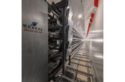 China 4-Tier Fully Automated Layer Housing System with Galvanized Frame & Auto Collection supplier