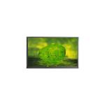 Original in Stock 42.0 inch LC420WUF-SAA1 LCD Display Screen for sale