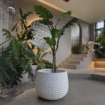 Wear Resistant Fiber Clay Planters For Living Room  Office Space for sale