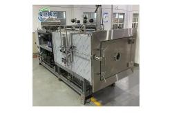 China Continuous Automatic Drying State-of-the-Art Technology for Produce Preservation supplier
