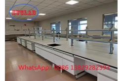China Customizable Safety Chemistry Lab Workbench with Cabinets and Fire Resistant Structure supplier